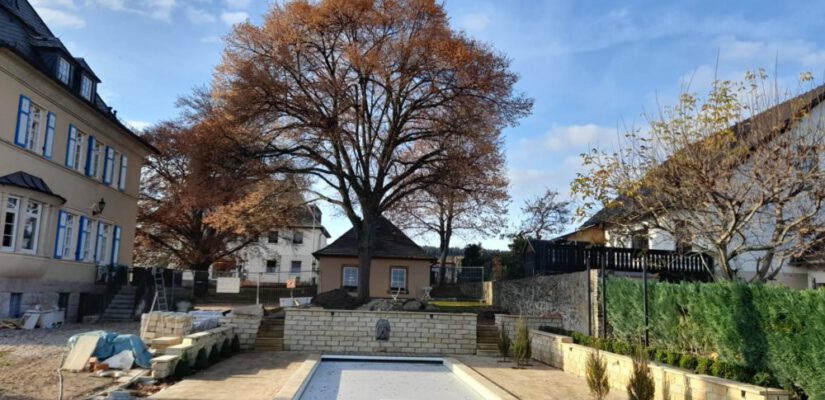 0d5031a9-08c4-41a5-8ba5-d75131ed9a14